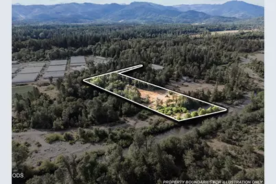 302 River Grove Drive, Cave Junction, OR 97523 - Photo 9