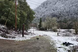 85 Speaker Rd, Wolf Creek, OR 97497 - Photo 5