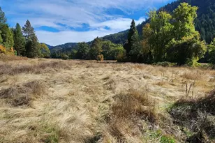 85 Speaker Rd, Wolf Creek, OR 97497 - Photo 9