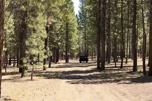 51889 Pine Loop Dr, La Pine, OR 97739 - Photo 51