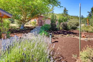 174 Hummingbird Ln, Talent, OR 97540 - Photo 87