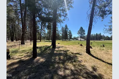 5536 Seagull Drive, Bonanza, OR 97623 - Photo 29