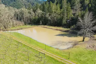 375 Porter Creek Rd, Winston, OR 97496 - Photo 35