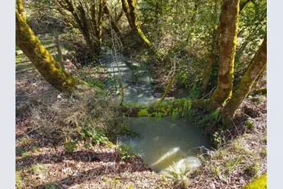 375 Porter Creek Road, Winston, OR 97496 - Photo 29