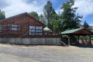 115 Rebel Hill Rd, Canyon City, OR 97820 - Photo 3