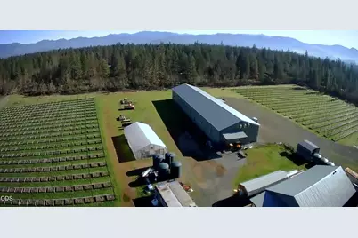 3160 Rockydale Road, Cave Junction, OR 97523 - Photo 19