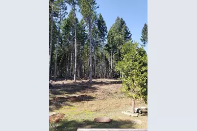 3160 Rockydale Road, Cave Junction, OR 97523 - Photo 71