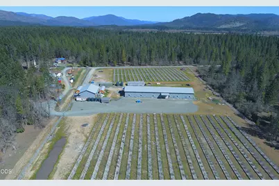 3160 Rockydale Road, Cave Junction, OR 97523 - Photo 59