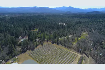 3160 Rockydale Road, Cave Junction, OR 97523 - Photo 67