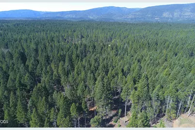 3160 Rockydale Road, Cave Junction, OR 97523 - Photo 63
