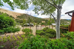2815 Dead Indian Memorial Rd, Ashland, OR 97520 - Photo 7