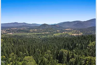 1095 Ingalls Lane, Wilderville, OR 97543 - Photo 35