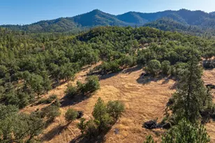 2659 Foots Creek L Fork Rd, Gold Hill, OR 97525 - Photo 11