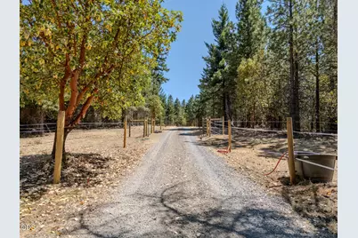 7036 Griffin Lane, Jacksonville, OR 97530 - Photo 57