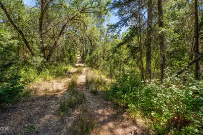 4199 Foots Creek Road, Rogue River, OR 97537 - Photo 19