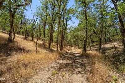 4199 Foots Creek Road, Rogue River, OR 97537 - Photo 3