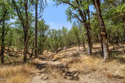 4199 Foots Creek Road, Rogue River, OR 97537 - Photo 7