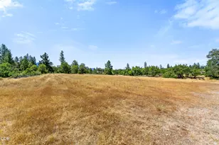699 Pine Cone Dr, Cave Junction, OR 97523 - Photo 13