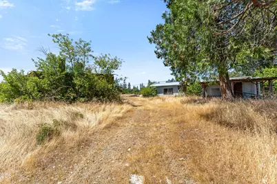 699 Pine Cone Drive, Cave Junction, OR 97523 - Photo 17
