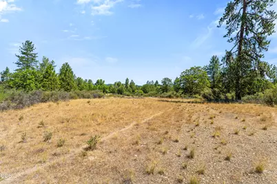 699 Pine Cone Drive, Cave Junction, OR 97523 - Photo 15