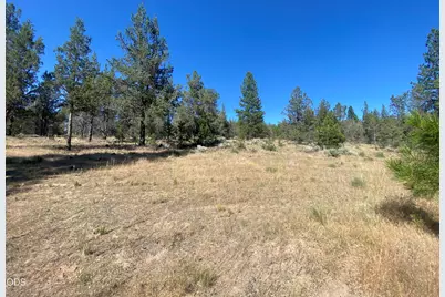 6233 Happy Hollow Lane, Bonanza, OR 97623 - Photo 35