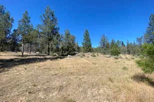 6233 Happy Hollow Ln, Bonanza, OR 97623 - Photo 35