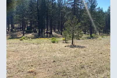 6233 Happy Hollow Lane, Bonanza, OR 97623 - Photo 27