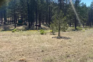 6233 Happy Hollow Ln, Bonanza, OR 97623 - Photo 27