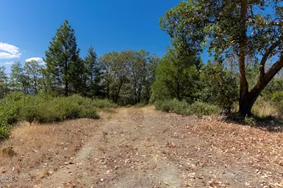 Homewood Road TL #101, Grants Pass, OR 97527 - Photo 5