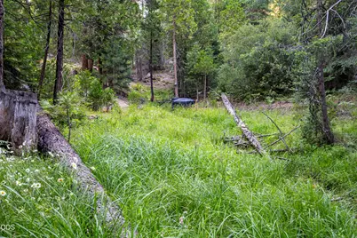0 Hungry Ridge, Ashland, OR 97520 - Photo 19