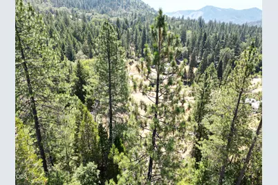 2725 Sykes Creek Road, Rogue River, OR 97537 - Photo 11