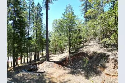 2725 Sykes Creek Road, Rogue River, OR 97537 - Photo 17