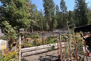 449 Flounce Rock Rd, Prospect, OR 97536 - Photo 41