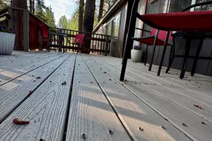 56548 Buckmaster St, Bly, OR 97622 - Photo 5