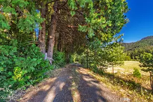 2211 Dick George Rd, Cave Junction, OR 97523 - Photo 59