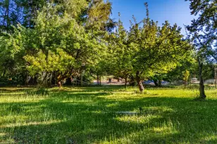 2211 Dick George Rd, Cave Junction, OR 97523 - Photo 51