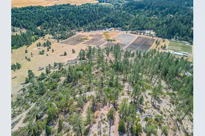 1408 Caves Highway, Cave Junction, OR 97523 - Photo 1