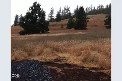 1408 Caves Highway, Cave Junction, OR 97523 - Photo 7