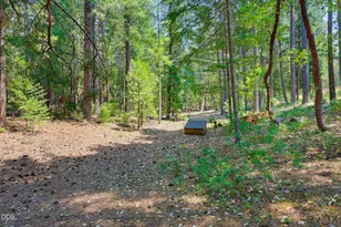 2280 Queens Branch Rd, Rogue River, OR 97537 - Photo 55