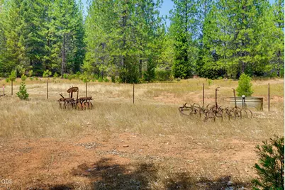 2280 Queens Branch Road, Rogue River, OR 97537 - Photo 53