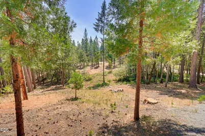 2280 Queens Branch Road, Rogue River, OR 97537 - Photo 49