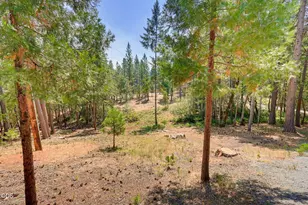 2280 Queens Branch Rd, Rogue River, OR 97537 - Photo 49