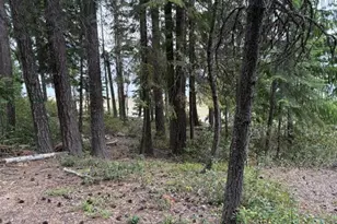 24284 Crescent Lake Rd, Crescent Lake, OR 97733 - Photo 29
