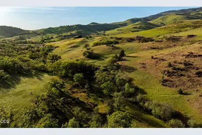 312 Sky Ridge Road, Ashland, OR 97520 - Photo 19