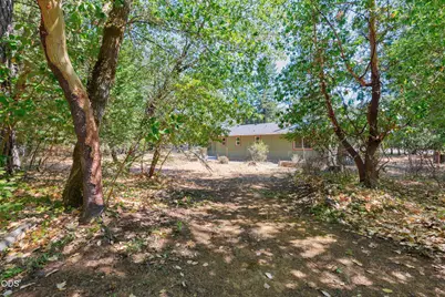 560 Schumacher Street, Cave Junction, OR 97523 - Photo 29