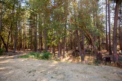 1110 Jaynes Drive, Grants Pass, OR 97527 - Photo 13