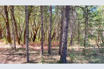 4569 Kane Creek Road, Central Point, OR 97502 - Photo 13
