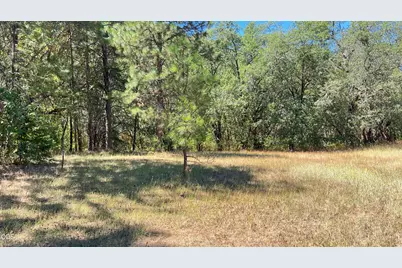 4569 Kane Creek Road, Central Point, OR 97502 - Photo 17