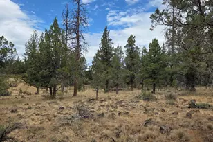 8314 Bly Mountain Cutoff Rd, Bonanza, OR 97623 - Photo 21