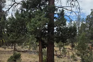 8314 Bly Mountain Cutoff Rd, Bonanza, OR 97623 - Photo 17